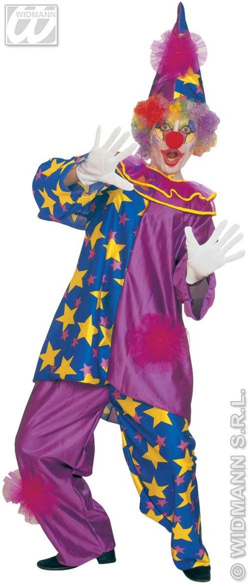 Clown & Nar Kostuum | Harlekino Clown Met Sterren Kostuum Man | Large | Carnaval kostuum | Verkleedkleding